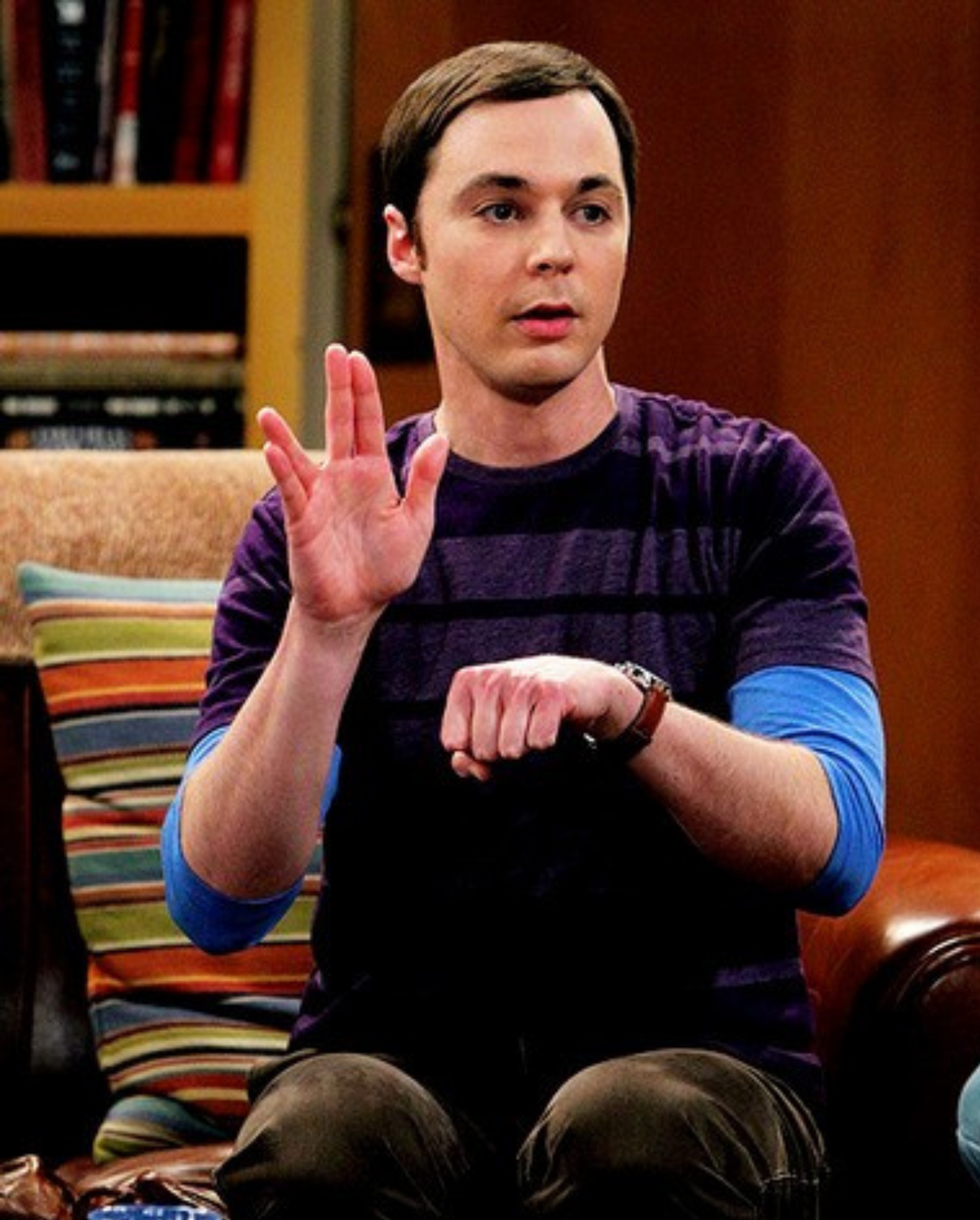 The Big Bang Theory T-shirt - Sheldon Approved